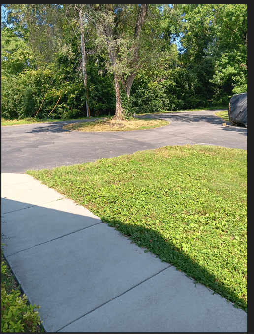 After Concrete and Blacktop